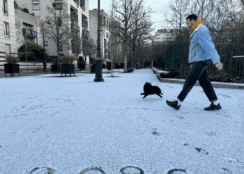 Une nouvelle « alerte météorologique »: après la neige, la tempête Goretti va frapper la France dès jeudi