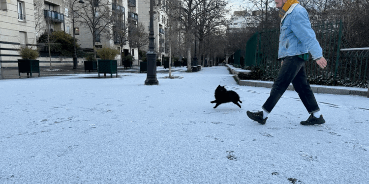 Capture decran 2026 01 07 131852