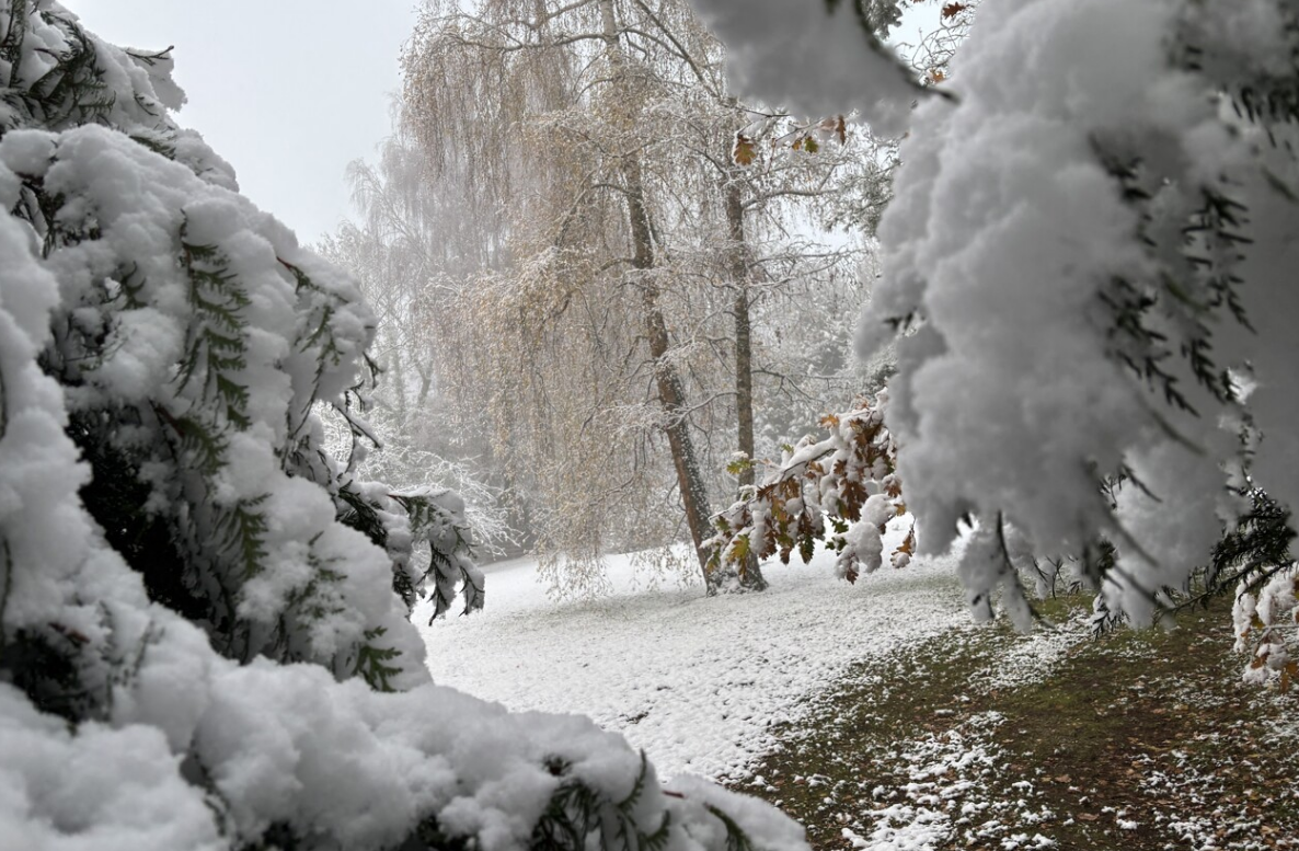 Capture decran 2026 01 07 131857