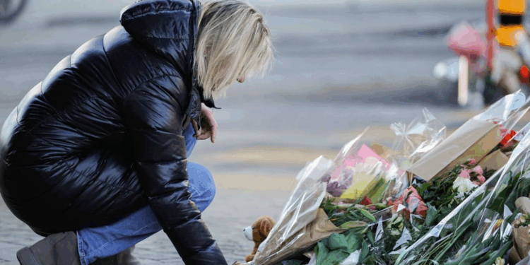 Capture decran 2026 01 08 134134