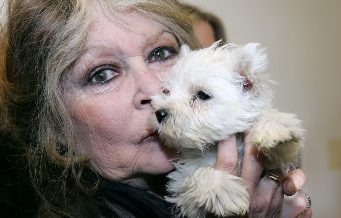 Capture decran 2026 01 08 141551