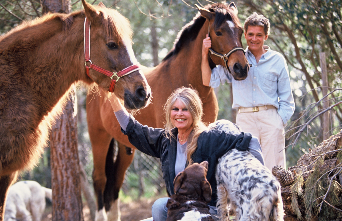 Capture decran 2026 01 08 141558