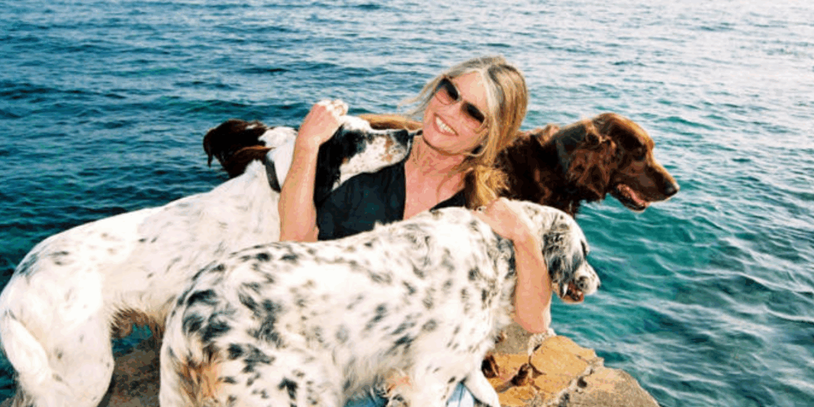 « Un comble… » : Voici ce que sont devenus les animaux de Brigitte Bardot depuis son décès