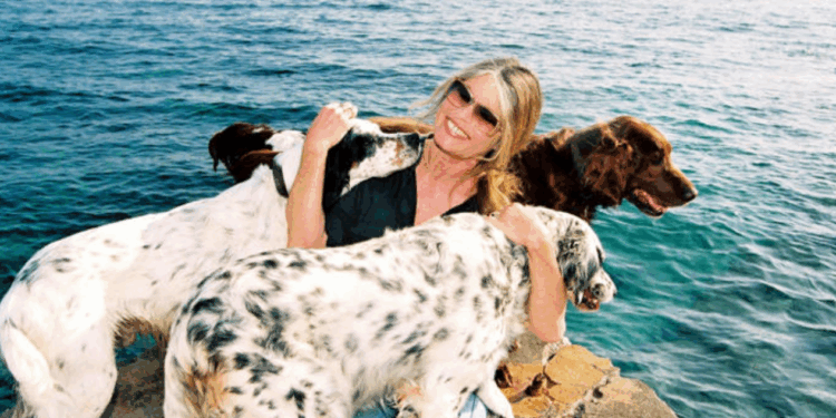 Capture decran 2026 01 08 141604