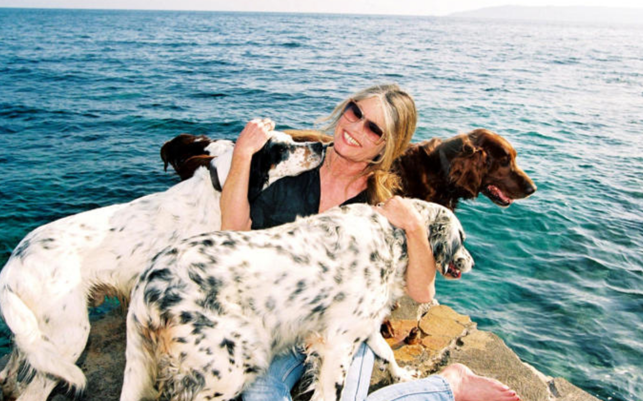 Capture decran 2026 01 08 141604