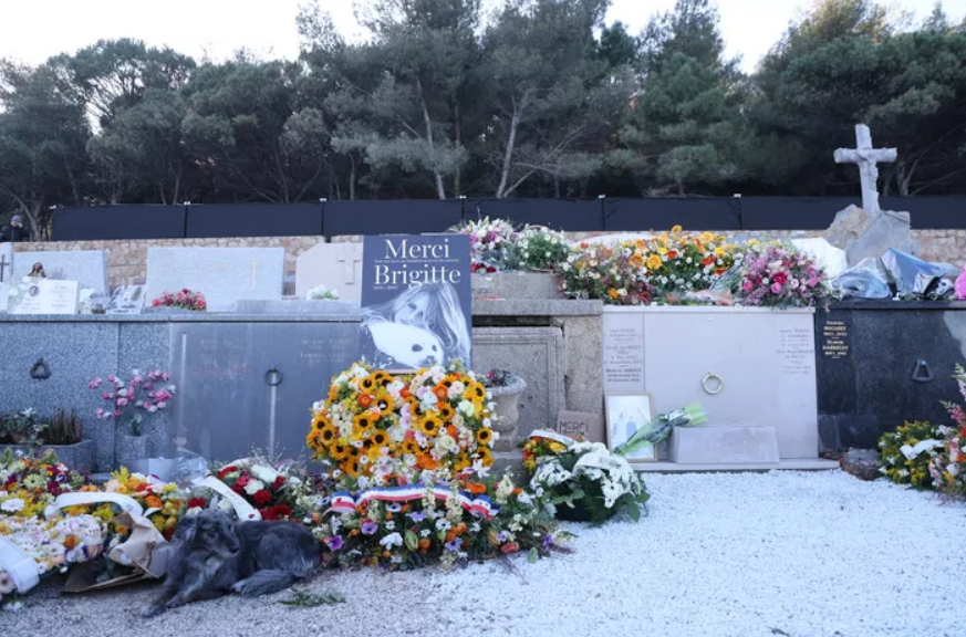 Le cinéma français boude les obsèques de Brigitte Bardot : "Tant mieux que ces bobos parisiens ne soient pas venus" 2 Le cinéma français boude les obsèques de Brigitte Bardot : "Tant mieux que ces bobos parisiens ne soient pas venus" Capture decran 2026 01 08 191814