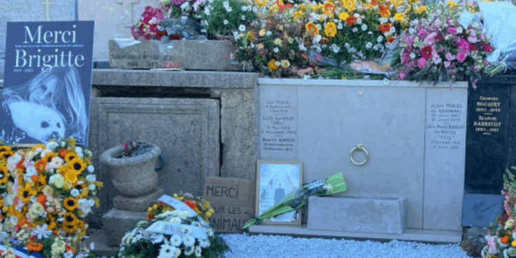 Capture decran 2026 01 13 154104