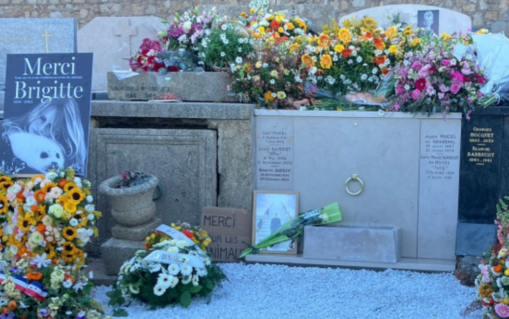 Capture decran 2026 01 13 154104