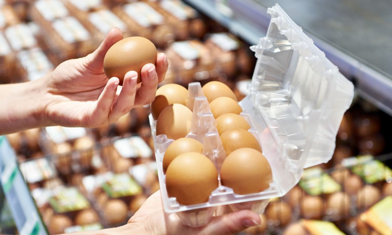 Capture decran 2026 01 13 163044