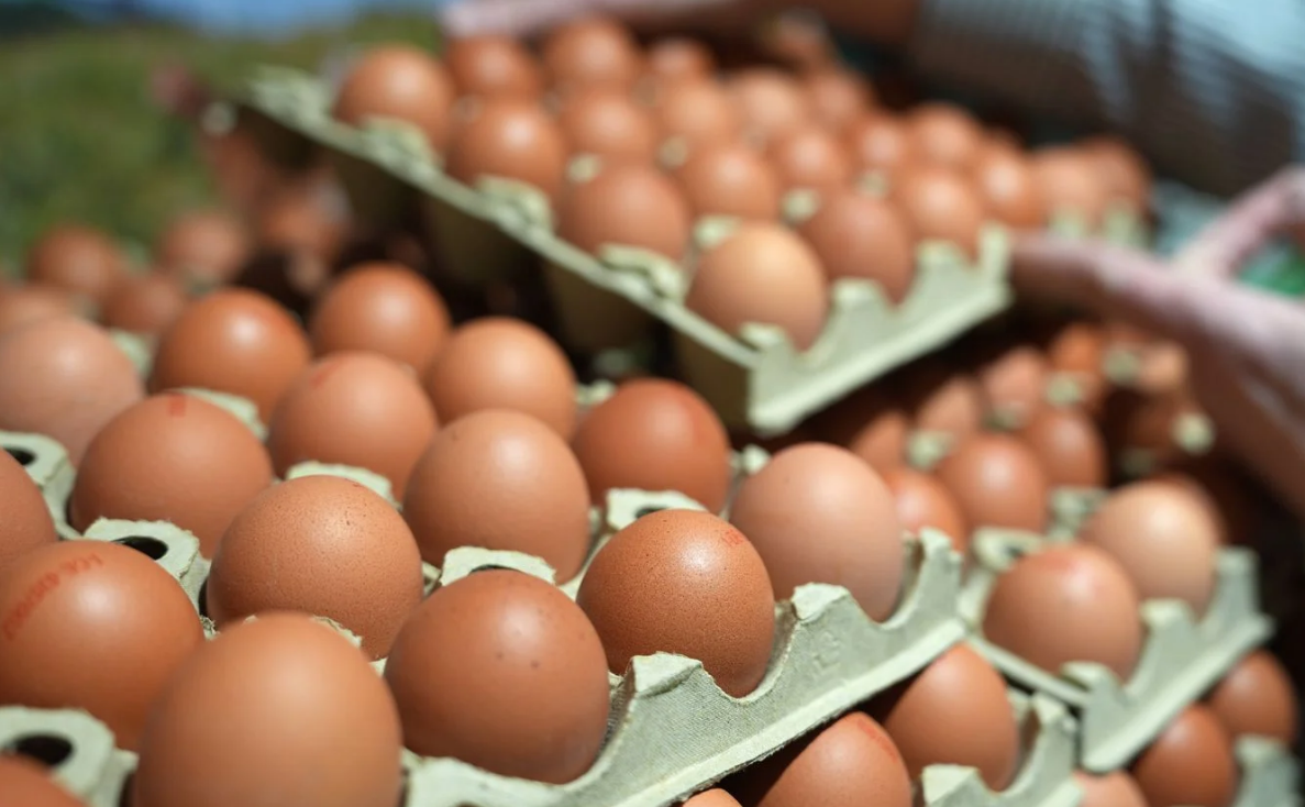 Capture decran 2026 01 13 163048