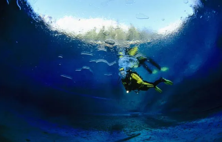 Capture decran 2026 01 15 124850