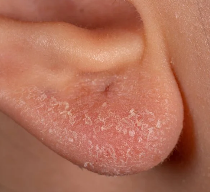 Capture decran 2026 01 16 163959