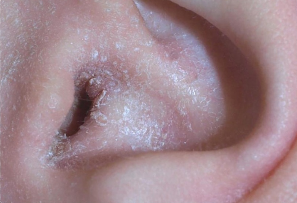 Capture decran 2026 01 16 164007