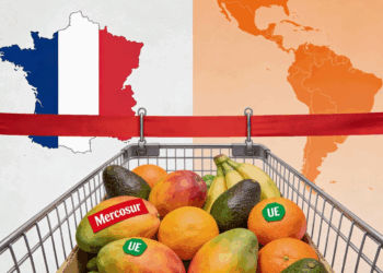 « On n’achètera pas ces produits-là » : la grande distribution française refuse les produits du Mercosur