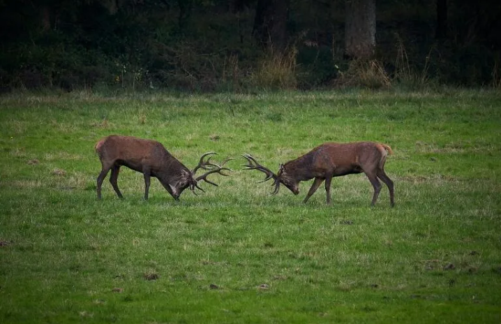 Capture decran 2026 01 21 123901