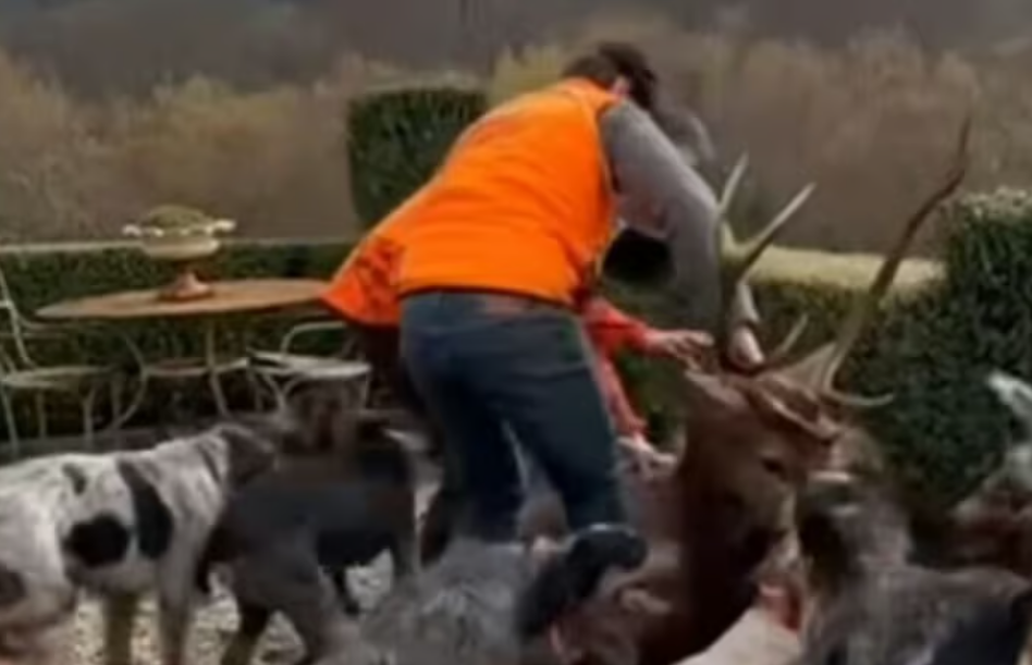 Capture decran 2026 01 21 123906