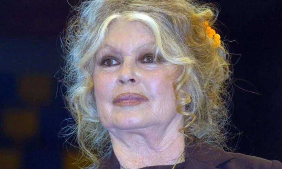 Capture decran 2026 01 22 212548