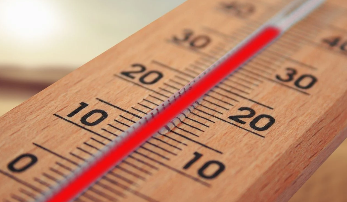 Capture decran 2026 01 23 125410