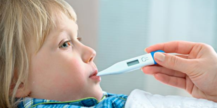 Capture decran 2026 01 23 125414