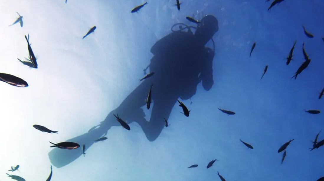 Capture decran 2026 01 23 212050