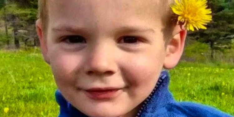 Capture decran 2026 01 28 144849 1