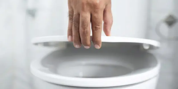 Capture decran 2026 02 02 231846