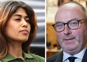 « Cette ordure revient à la charge » : Rima Hassan appelle à mettre le sénateur Laurent Duplomb « en prison »