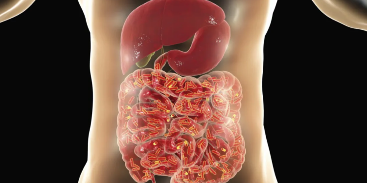 Capture decran 2026 02 06 015056