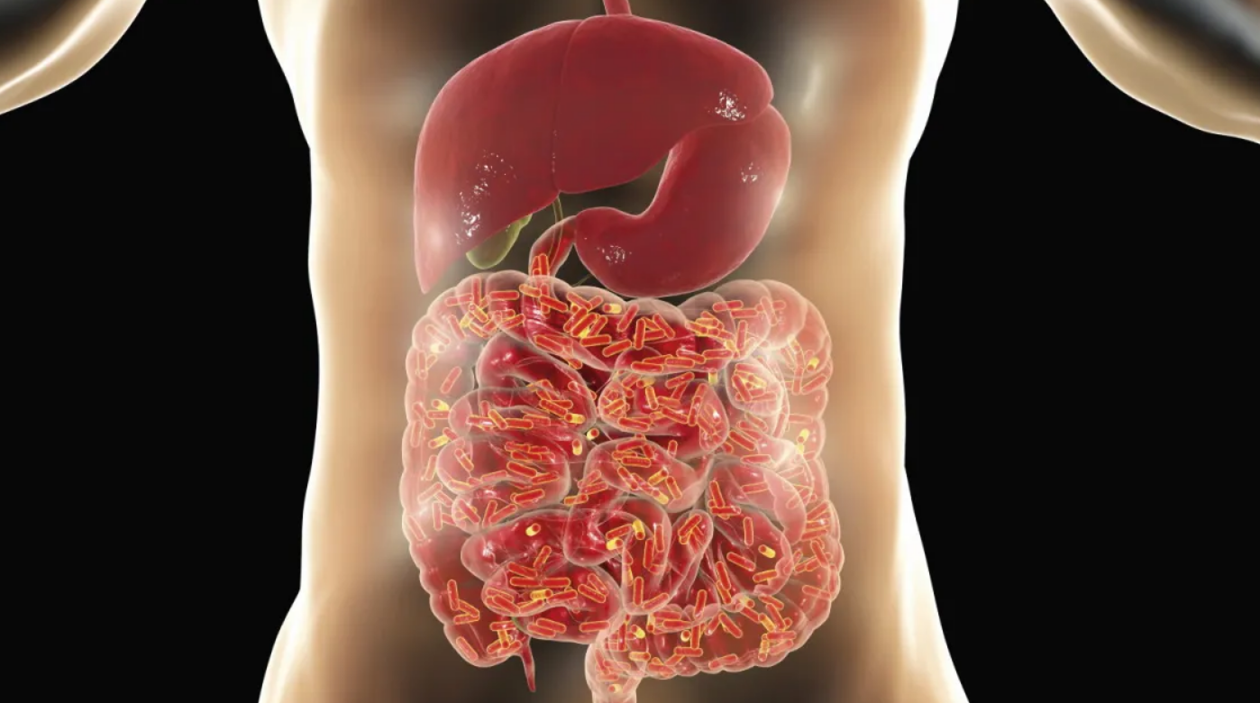 Capture decran 2026 02 06 015056