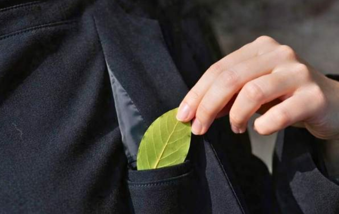 Capture decran 2026 02 06 210157