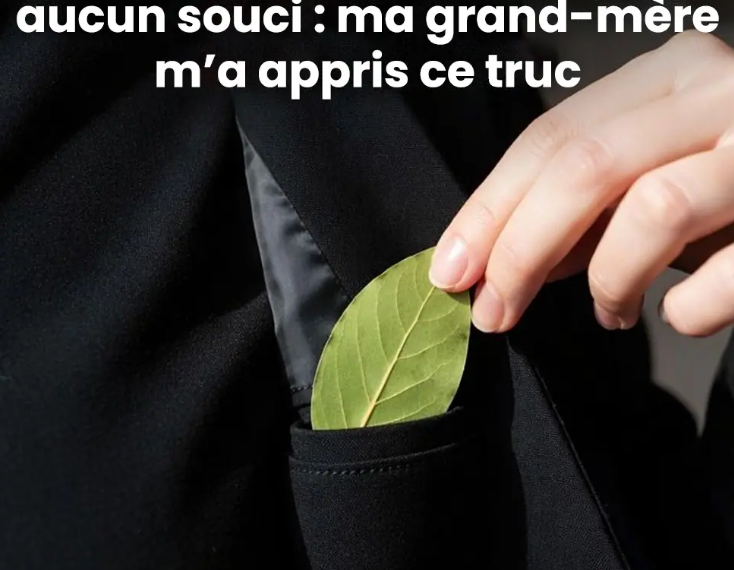 J’ai mis une feuille de laurier dans ma poche et je n’ai plus aucun souci : ma grand-mère m’a appris ce truc
