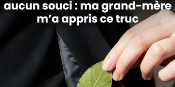 J’ai mis une feuille de laurier dans ma poche et je n’ai plus aucun souci : ma grand-mère m’a appris ce truc