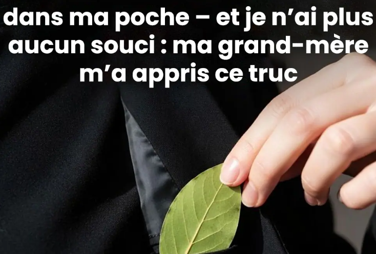 Capture decran 2026 02 06 210224 e1770408248976