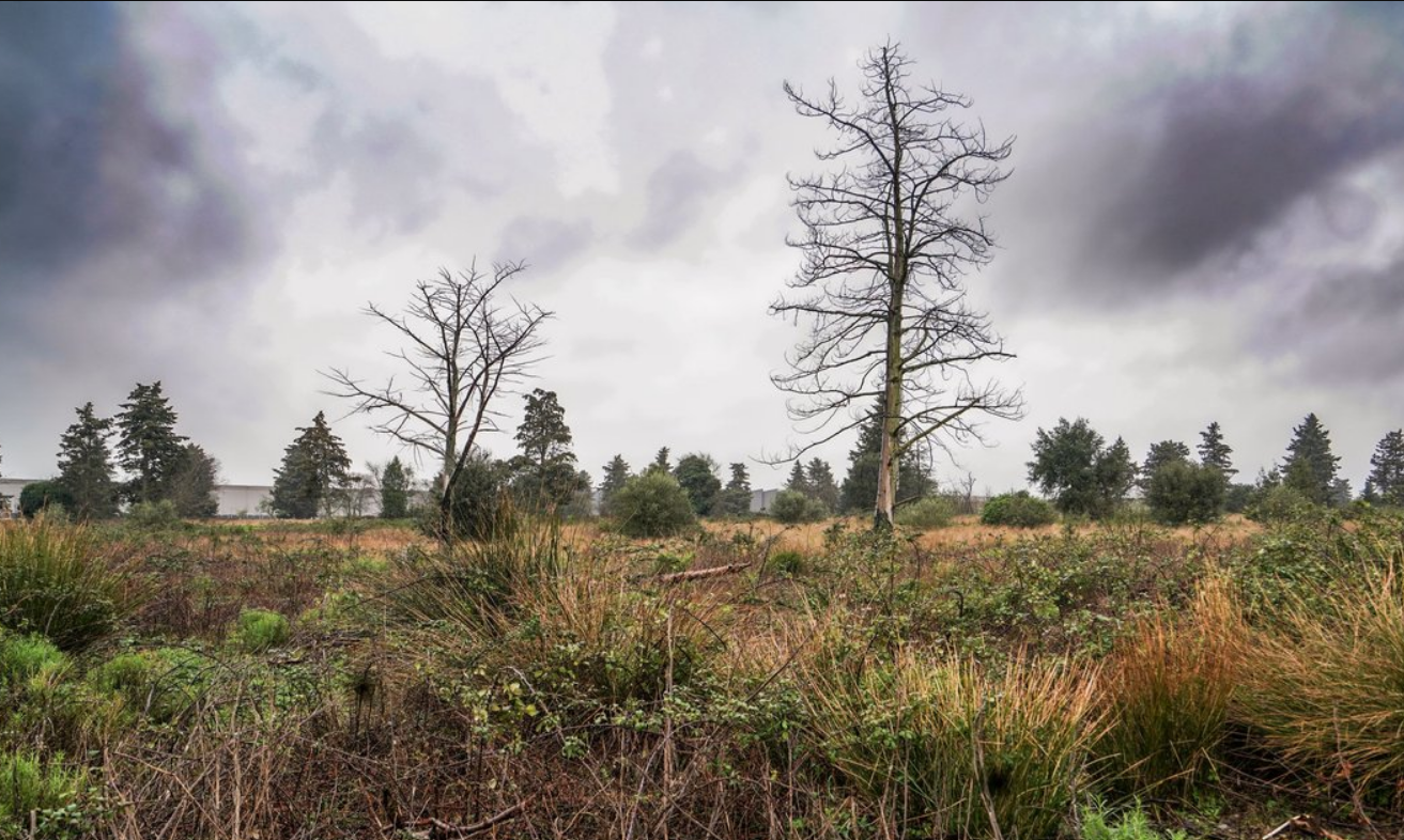 Capture decran 2026 02 11 135734