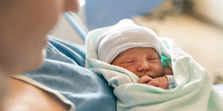 Capture decran 2026 02 13 143246