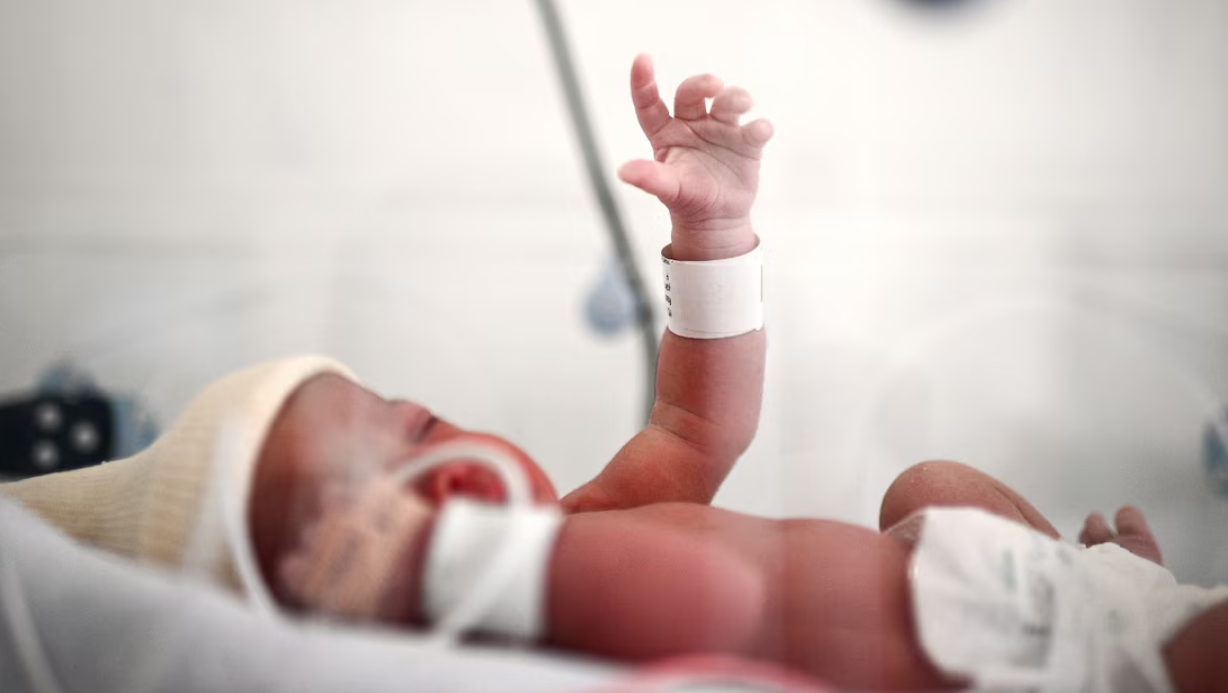 Capture decran 2026 02 13 143251