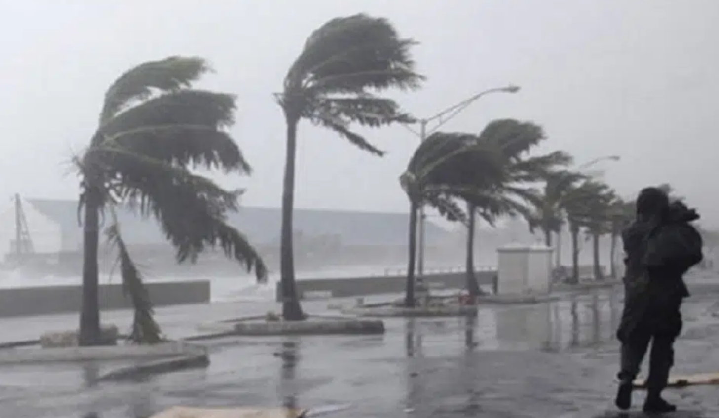 Alerte météo : la nouvelle tempête Pedro arrive, voici les départements qui vont être frappés dès mercredi ! 3 Alerte météo : la nouvelle tempête Pedro arrive, voici les départements qui vont être frappés dès mercredi ! Capture decran 2026 02 17 141820