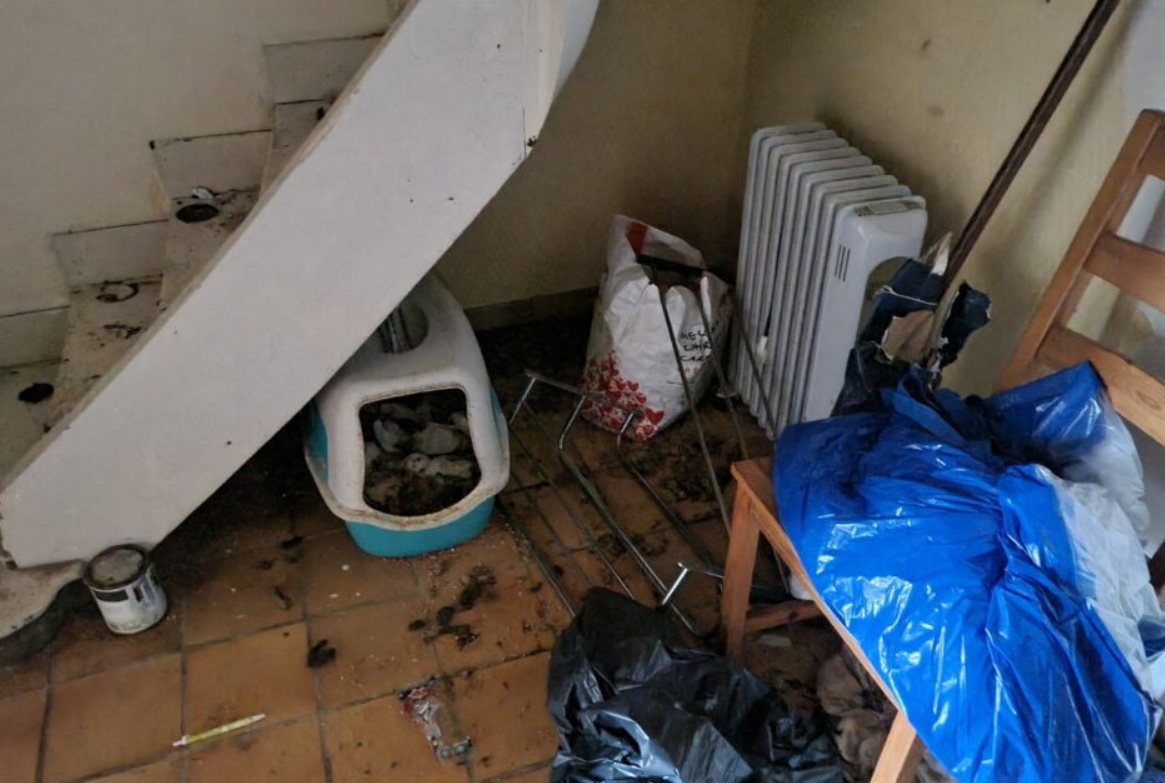 Bretagne : Après un squat de trois ans, il récupère sa maison dans un état lamentable 3 Bretagne : Après un squat de trois ans, il récupère sa maison dans un état lamentable Capture decran 2026 02 18 172205