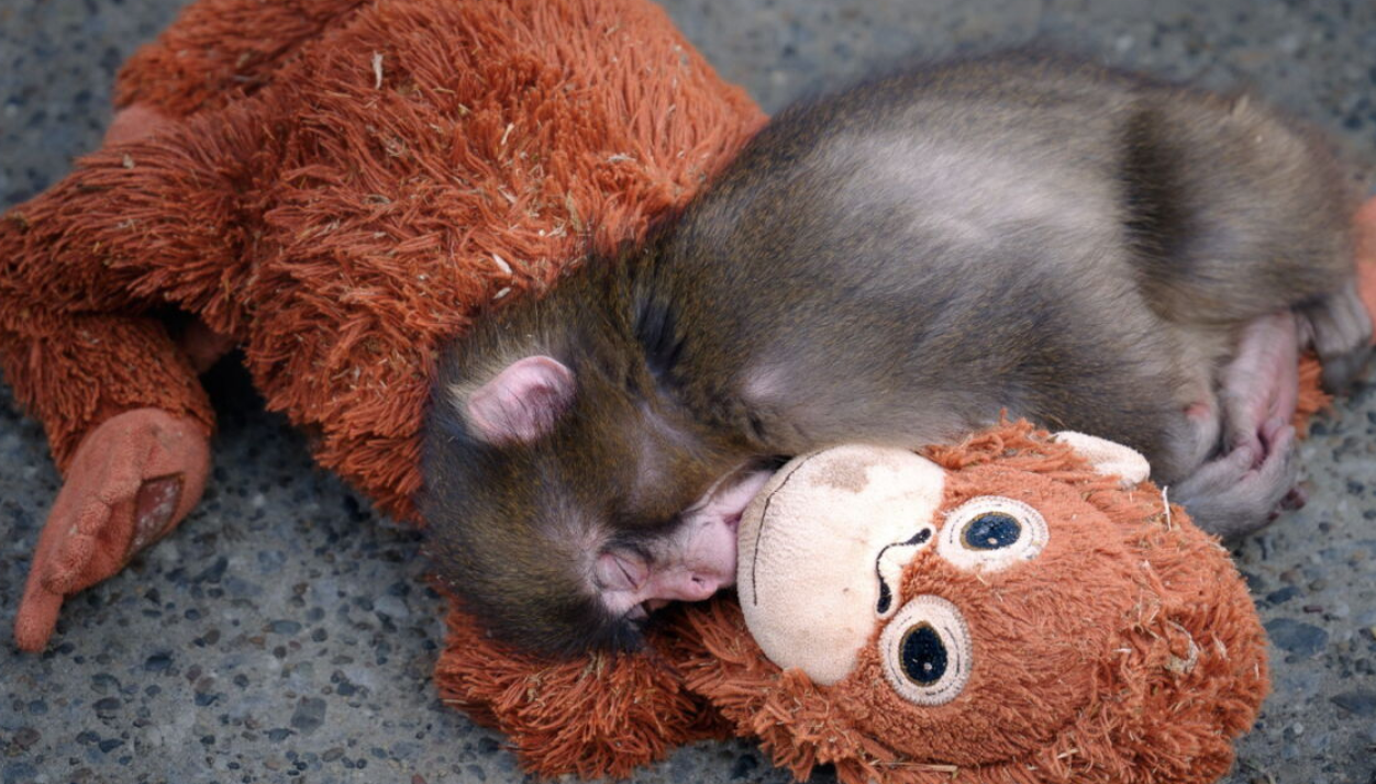 Capture decran 2026 02 19 174102