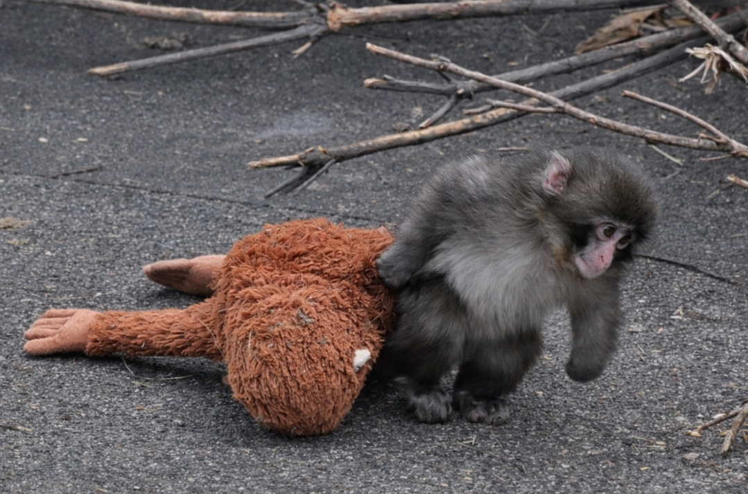 Capture decran 2026 02 19 174113