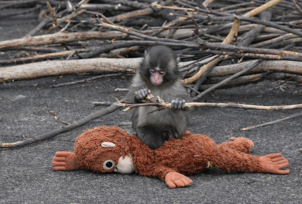 Capture decran 2026 02 19 174117