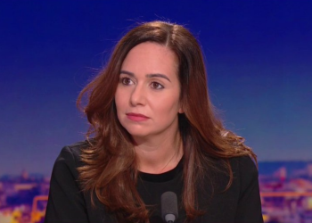 « Je ne suis pas un singe savant » : la phrase de Sarah Knafo qui a enflammé les réseaux