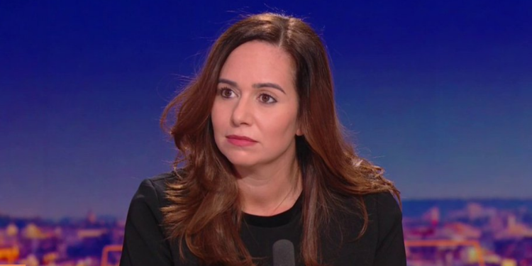 « Je ne suis pas un singe savant » : la phrase de Sarah Knafo qui a enflammé les réseaux 1 « Je ne suis pas un singe savant » : la phrase de Sarah Knafo qui a enflammé les réseaux Capture decran 2026 02 20 143822