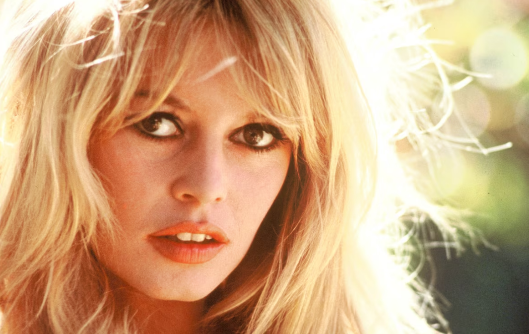 Capture decran 2026 02 27 152609