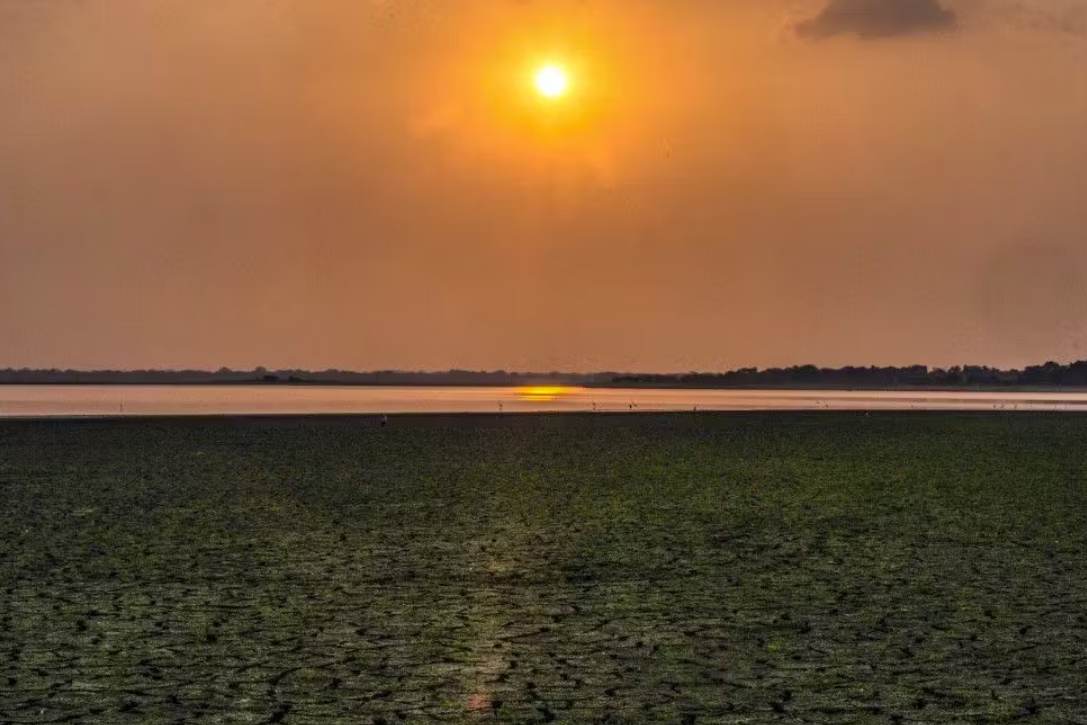 Un épisode de réchauffement climatique est "possible" à partir de mai sous l'effet d'El Niño selon l'ONU 4 Un épisode de réchauffement climatique est "possible" à partir de mai sous l'effet d'El Niño selon l'ONU Capture decran 2026 03 03 163633