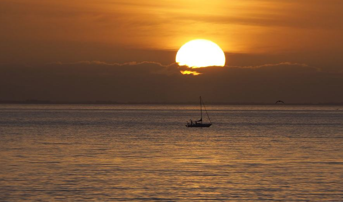 Un épisode de réchauffement climatique est "possible" à partir de mai sous l'effet d'El Niño selon l'ONU 5 Un épisode de réchauffement climatique est "possible" à partir de mai sous l'effet d'El Niño selon l'ONU Capture decran 2026 03 03 163642