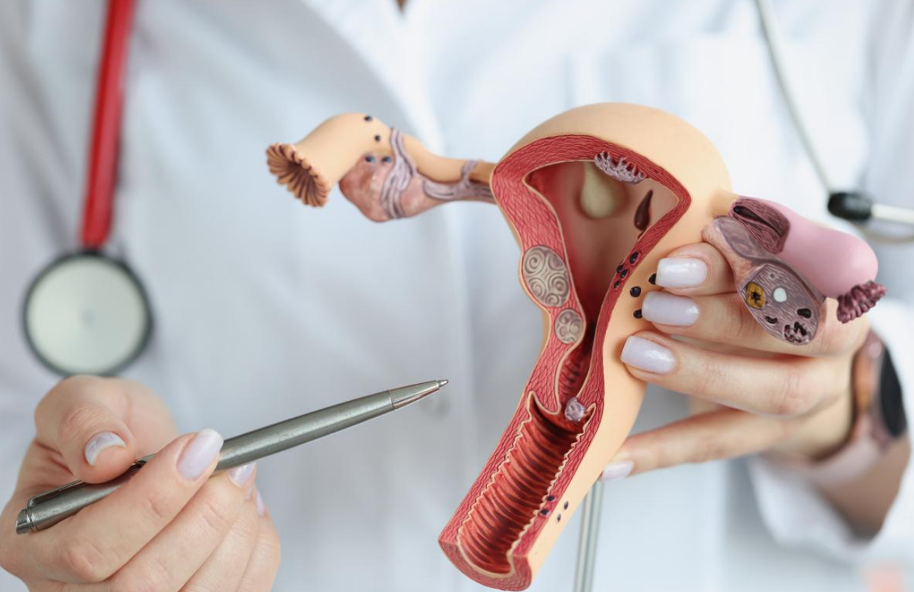 Capture decran 2026 03 05 144609