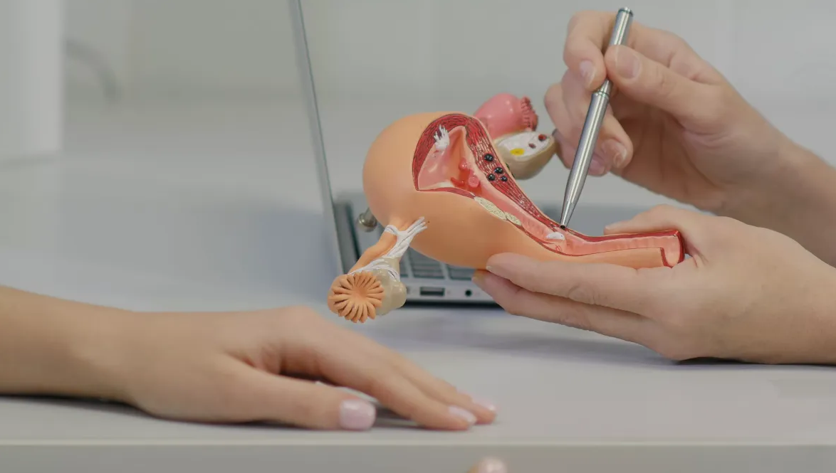 Capture decran 2026 03 05 144617