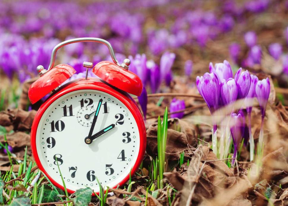 Capture decran 2026 03 09 121017