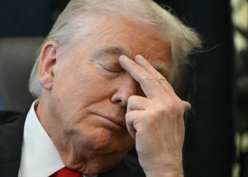 Démence chez Donald Trump ? Ce que révèle un spécialiste